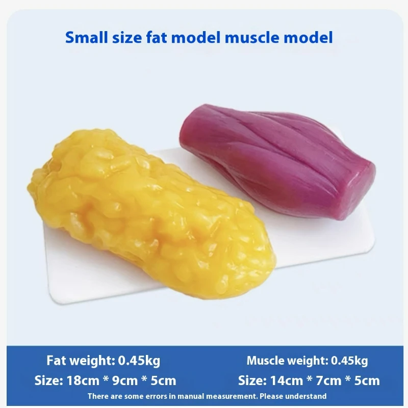 Human Muscle and Fat Replicas  - огляд і ціна Nutrition Fitness Health
